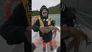 Take his girlfriend fishing and catch 5kg of giant squid