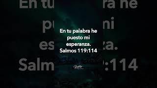 En tu palabra he puesto mi esperanza #freddydeanda #frasedeldia #esperanzaenDios #PalabraDeDios