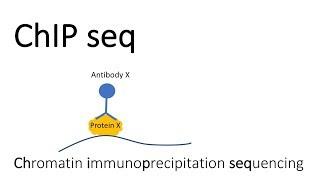 ChIP seq - Chromatin Immunoprecipitation sequencing