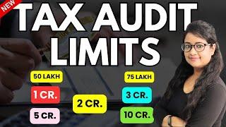 Income Tax Audit Limits 2024 | Tax Audit limits for Businessman | Tax Audit limit for Professionals