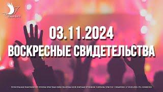 ЕЖЕНЕДЕЛЬНЫЕ СВИДЕТЕЛЬСТВА | КЕМЕРОВО  03.11.2024