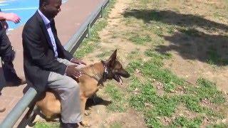 Hermiona K9 manof personal protection knife attack protection kenya