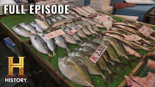 Tuna: America's Favorite Fish | Modern Marvels (S15, E5) | Full Episode