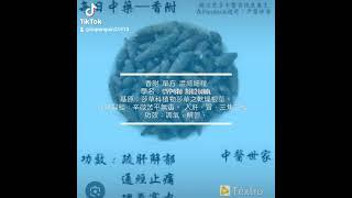 Cyperus rotundus single recipe, concentrated fine particles. Scientific name: C