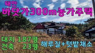 [물건번호 291번]바닷가 300m앞 주택입니다. 작은 텃밭과 함께 해루질도 하면서 전원생활 하세요. 면소재지 3분, 태안시내 20분으로 불편함 없어요. 저렴한 가격으로 매매합니다