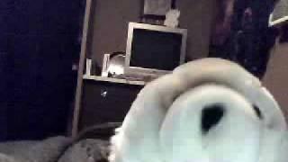 Kallajoface123's webcam recorded Video - July 30, 2009, 11:47 AM