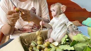 Awee!! BB DORN Sit Inside Logan Fruit Box Join Eating With Mommy