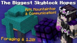 What are Your Biggest Hopes for Hypixel Skyblock?