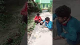 এ কেমন পাগলাচোদাll মজাদার হাঁসির ভিডিও ২০২৪#trending #funny #shortvideo #youtubeshorts #2024 