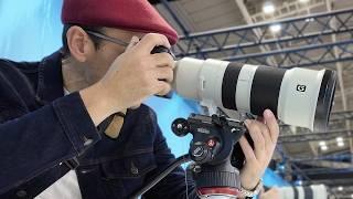 Sony FE 400-800mm - Ultimate BUDGET Bird & Wildlife Lens?