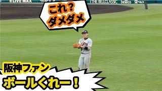 【阪神VS巨人】甲子園でヤジを飛ばす阪神ファンと戯れるお茶目な丸【丸佳浩】丸