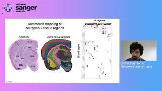 Sanger Institute - High Throughput Spatial Genomics - Dr Omer Bayraktar