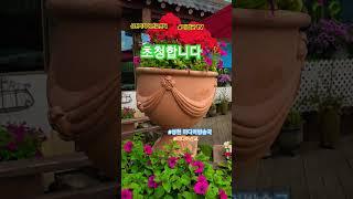#환영합니다 #성헌미디어선교 #축복된삶 #국제미디어ai선교협회