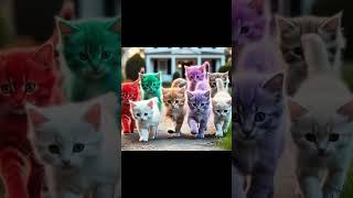 Purrfectly Adorable Cats Stealing Hearts