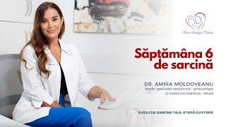 Săptămâna 6 de sarcină I Dr. Amira Moldoveanu I Femmeboutiquemedical.com