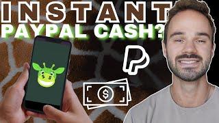 Cash Giraffe Review - FREE PayPal Money EVERY Day!? (Honest Look!)