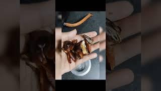 Oats laddu #ytshorts #recipe #food #tranding #trendingshorts