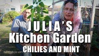 Julia's Kitchen Garden - Episode 4: Chilies and Mint