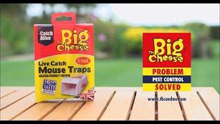 The Big Cheese Live Catch Mouse Traps - Twin Pack - STV155