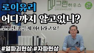 로이유리 알고 시공 하자! 무조건 좋은 게 아닙니다 / KCC 샷시