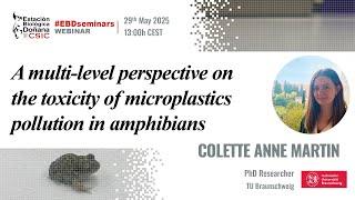EBD Seminars | Colette Ann Martin