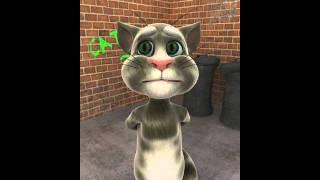 Talking Tom -That's Cool