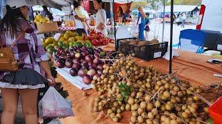  Asian Farmer's Market Icot Blvd at Clearwater Florida USA 2024