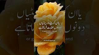 tmam badsahat khodahe ke hay#light of deen#islamicmusic #islamicmusic #ytshorts