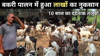 बकरा पालन की 10 साल की कड़वी सच्चाई | 10 Years Experience in Goat Farming | Goat Farm Tour