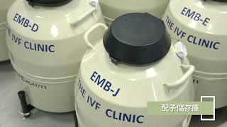 The Women's Clinic與The IVF Clinic的環境