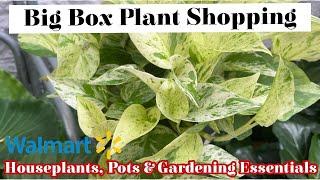 Big Box Plant Shopping at Walmart || Houseplants, Pots & Gardening Essentials