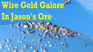 Gold From Jason's Crushed Gold Ore part 2 #gold #goldmining #goldrecovery #goldpannning