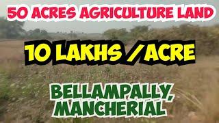 10 LAKH ACRE Agriculture Land @ Bellampally Mancherial | TELANGANA | LOW BUDGET | REAL ESTATE