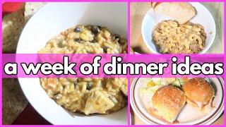 EASY WEEK NIGHT DINNERS | What’s For Dinner? #352 | 1-WEEK OF REAL LIFE MEALS