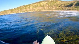 POV SURFING SUPER SHALLOW NOVELTY WAVE!!