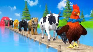 Paint & Animals Duck,Gorilla,Lion,Elephant,Cow,Sheep Fountain Crossing Transformation Animal Cartoon