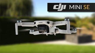 DJI Mini SE - neue günstige Drohne für Anfänger?