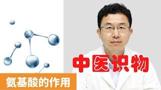 氨基酸的作用【保健養生】生生不息┃提高免疫力┃維持人體代謝