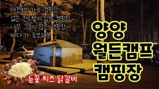 양양 월든캠프 캠핑장 l 애견동반가능 캠핑장 l 캠핑일기 ㅣ 부부캠핑(feat.일기체) l 감자전 l 캠핑닭갈비 ㅣ 백컨트리280쉘터 l 헬리녹스체어투 개봉!