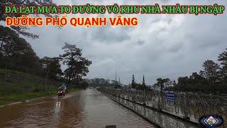 ĐÀ LẠT MƯA TO ĐƯỜNG VÀO KHU NHÀ GIÀU BỊ NGẬP.