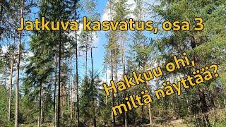 Jatkuva kasvatus, hakkuu ohi, osa 3. | Continuous cover silviculture, part 3