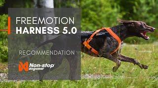 Freemotion harness 5.0