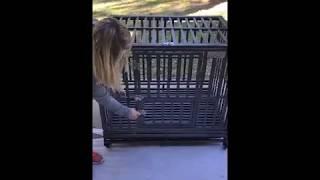 LUCKUP Heavy Duty Dog Cage Strong Metal Kennel and Crate Review, Made both my dog and myself happy