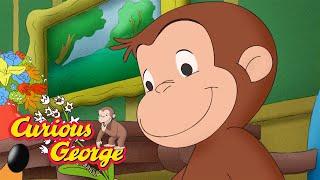 The Lobby Caterpillar!   Full Episodes | Curious George