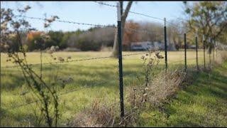 Barbed Wire Fencing #barbedwirefencing