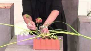 Accent Decor T2: Effortless Profit