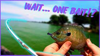 THIS ONE BAIT Will Catch You 100 Fish!  Ultralight Mule Fishing Minnow