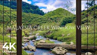 4K Cameron Highlands Creek Malaysia Window View - Serene, Relaxing, Nature Ambience, White Noise