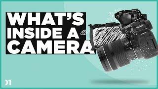 How Does a Camera Work? (Take a look INSIDE!) [01/10]