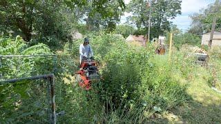 I turned this CRAZY jungle into a yard again!